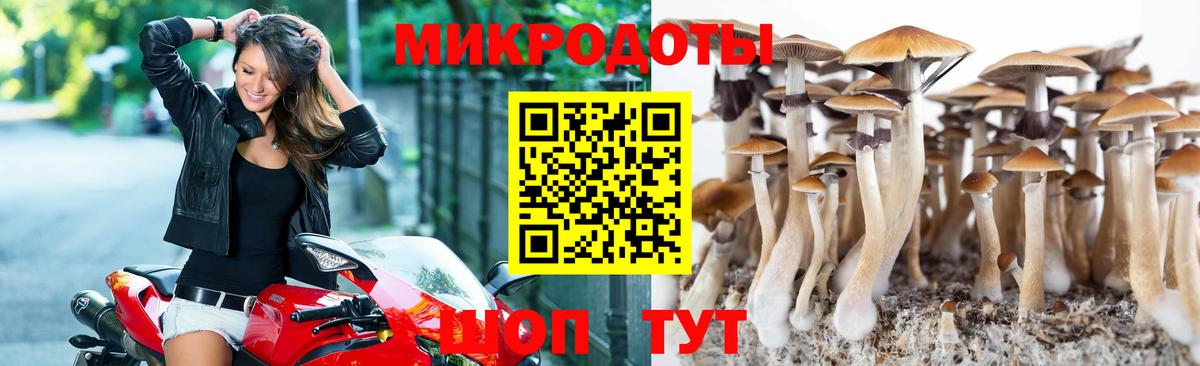 Галлюциногенные грибы Magic Shrooms  Вход с VPN  как найти   Галлюциногенные грибы прущие грибы  Сарапул 